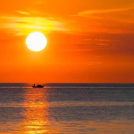 Lilly With Private Parking In The Yard Of The House
