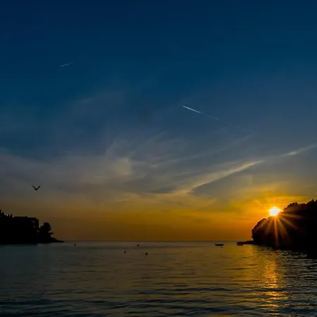 Lilly With Private Parking ,private Garden-quiet Oasis