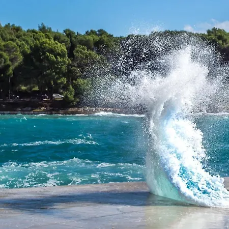 Apartment Lilly With Private Parking ,private Garden-quiet Oasis Pula