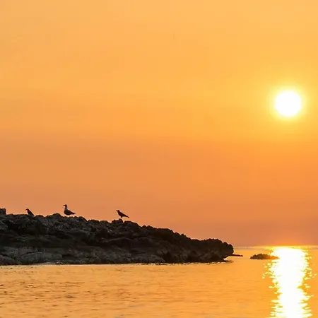 Lilly With Private Parking ,private Garden-quiet Oasis *