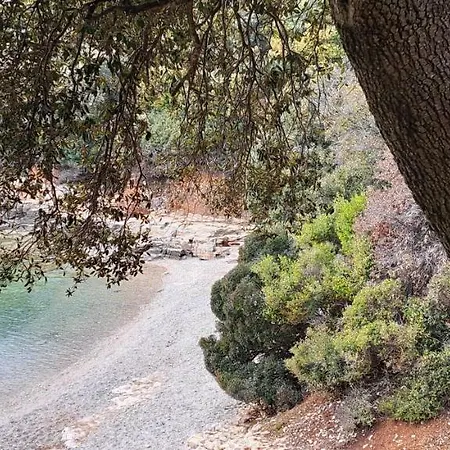 Apartment Lilly With Private Parking ,private Garden-quiet Oasis *